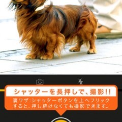 操作が簡単！リバースカメラは逆再生のムービーやボイスを楽しめるアプリのアイコン