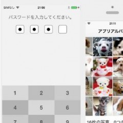 便利で使いやすい写真・ビデオ撮影アプリ「偽装ビデオ (ヤヌスビデオ)」のアイコン