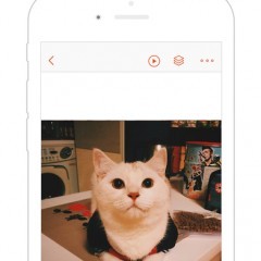 GIF viewerでGIF画像を見て友達と楽しもう！のアイコン