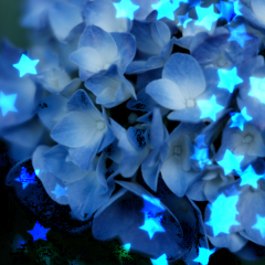 キラキラ加工ならおまかせ「BokehPic-かわいいフィルターが満載の写真加工カメラアプリ!無料で写メをぼかして画像編集！」のアイコン