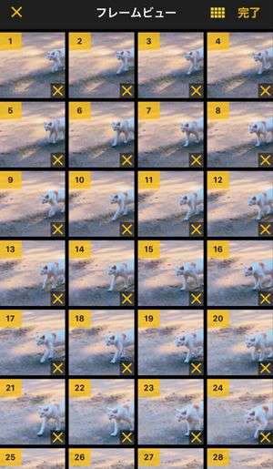 ImgPlay　フレームビュー