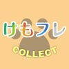 けもフレCOLLECT for けものフレンズのアイコン