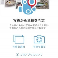 「魚みっけ」でわからない魚の名前がすぐわかる！釣り好き必見の図鑑アプリ！のアイコン