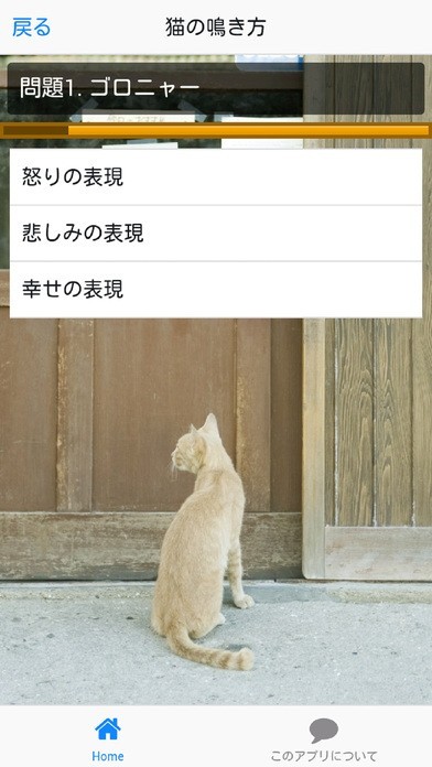 猫の気持ち「わかるかニャ？」 | スクリーンショットその2