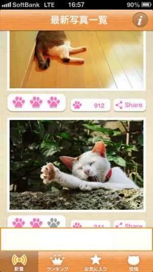 ねこまみれ かわいい猫写真が見放題 ねこのきもち 公式アプリ おすすめ 無料スマホゲームアプリ Ios Androidアプリ探しはドットアップス Apps