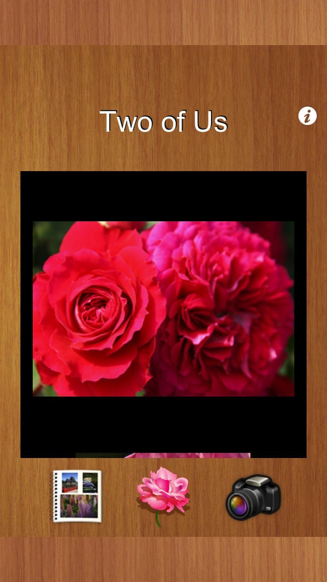 バラのはがき | スクリーンショットその1