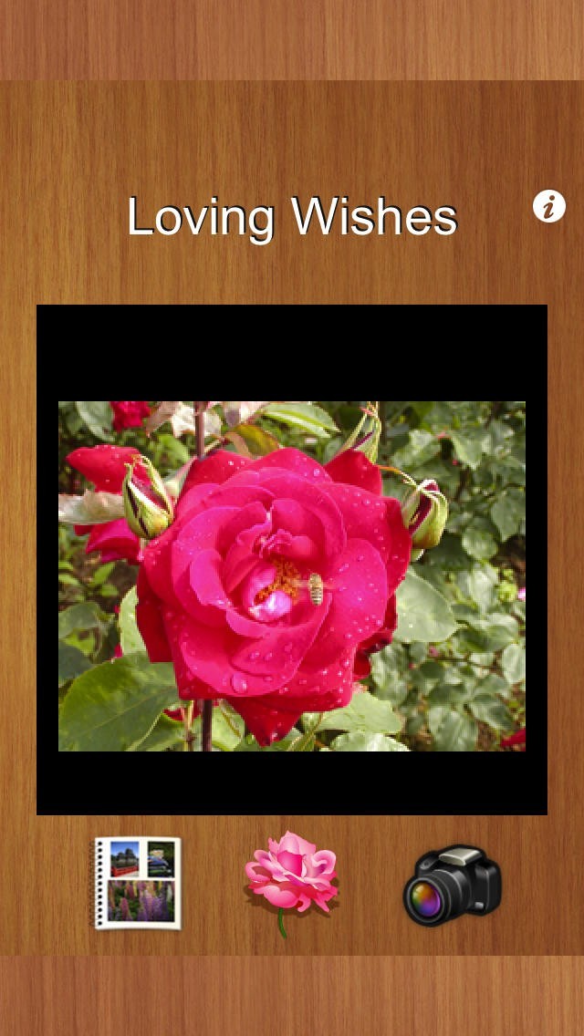 バラのはがき | スクリーンショットその2