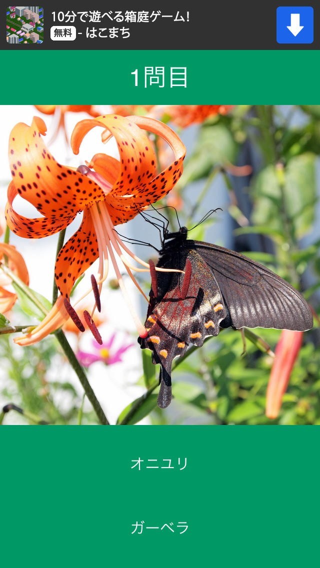 華菜 - 花の名前を覚えよう | スクリーンショット