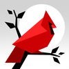 Cardinal Land - Jigsaw & Tangram Puzzle Blend アイコン