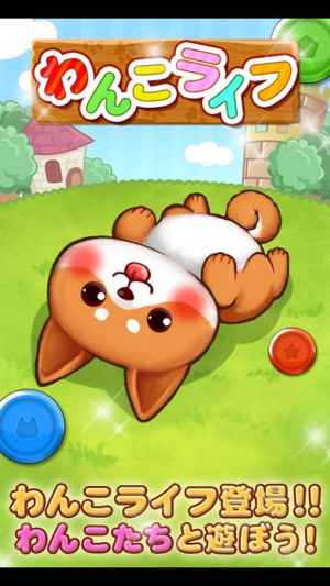 わんこライフ 可愛いわんちゃんを育てる犬の育成パズルゲーム Iphone Android対応のスマホアプリ探すなら Apps