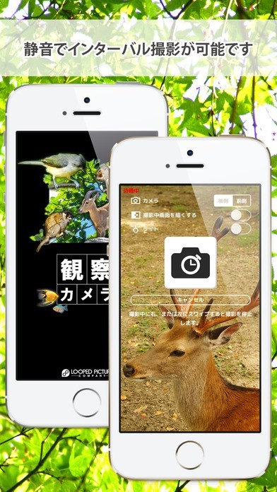 観察カメラ (静音) | スクリーンショットその1
