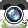 パンダカメラ〜パンダと一緒に写真が撮れるアプリ〜 アイコン