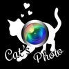 にゃんかめ 高画質マナー(無音)カメラ 〜猫のためのデコアプリ〜 アイコン