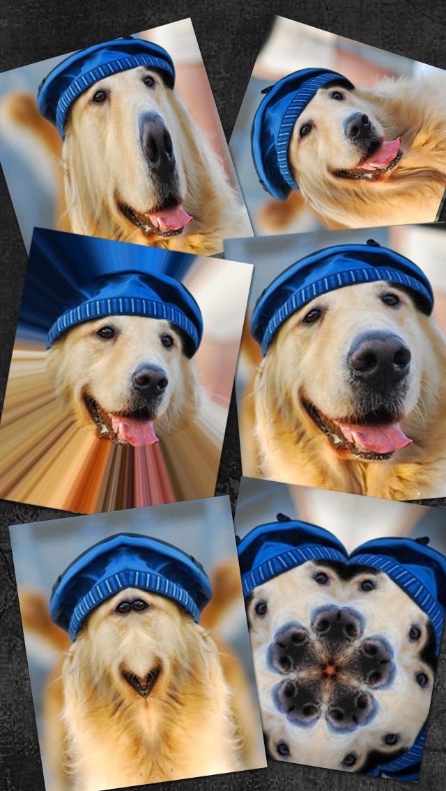 Fotolr-特効カメラ―リアルタイム効果 | スクリーンショットその1