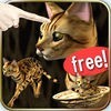 猫っとベンガルがネコっ可愛くなでまくり遊べる無料ペットねこアプリ！ アイコン