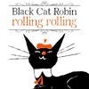Black Cat Robin (Picture book fairy tale) アイコン