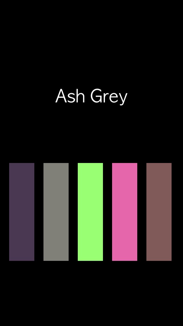 色彩検定 | スクリーンショットその1