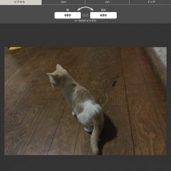 [無料]画像サイズー４種類の単位で画像のサイズを楽々変更！のアイコン