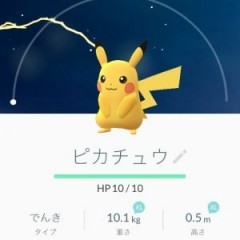 【ポケモンGO攻略】ポケモンGOに個体値はあるのかのアイコン