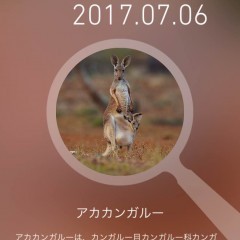 「せかいの動物」を使えば動物博士になれるかも？！動物図鑑アプリ！のアイコン
