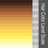 Hair Color Level Scale ヘア カラー レベル スケールのアイコン