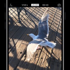 「ProCamera.」は手軽に綺麗な写真を撮りたい方にオススメのカメラアプリです！のアイコン
