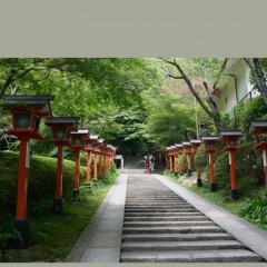 これで完璧！壁紙ぴったんで満足の行く壁紙を作ろう！のアイコン