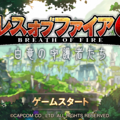 大人気シリーズ第６弾「ブレス オブ ファイア 6 白竜の守護者たち」のアイコン