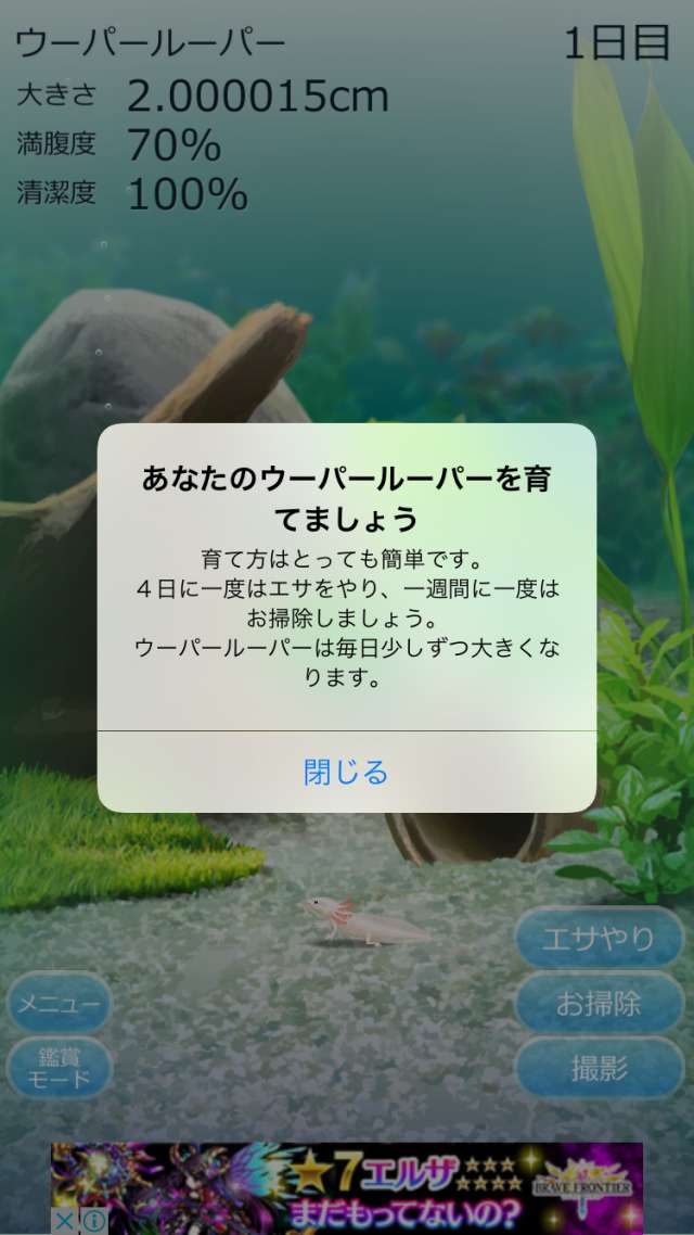 癒しのウーパールーパー育成ゲーム ハマる人続出 本物そっくりのウーパールーパーが飼えるスマホゲーム Iphone Android対応のスマホアプリ探すなら Apps
