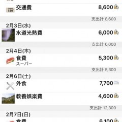 お小遣い帳管理アプリかんたん家計簿こづかい帳、最短2タップの簡単操作！のアイコン