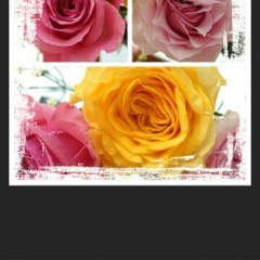 プロ級の写真加工が無料で簡単にできちゃう写真コラージュアプリ！Mixooのアイコン