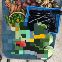 「写真位置情報エディタ」で写真の位置情報を簡単変更！撮影場所を正確に記録し、プライバシー保護にも便利な無料編集アプリのアイコン