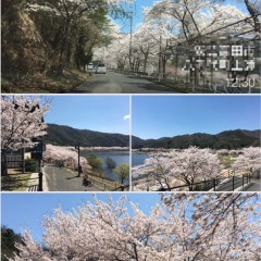 「全自動写真ビューア ViewingFun!」溜まった写真を日付とタイムラインで楽しく表示！のアイコン