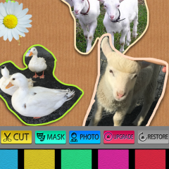 「写真はカット」で自由に写真を加工しよう！のアイコン