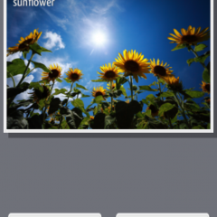 「写真のラベル (Free)」で簡単に写真にラベルを付けてみよう！のアイコン