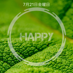 「Typorama - Text on Photo Editor, Typography Maker」デザインフォントで魅力的な画像が作れるアプリ。のアイコン