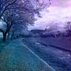 「ディザ合成 - 複数の写真をブレンドする」でオリジナルな画像を作ろう！のアイコン