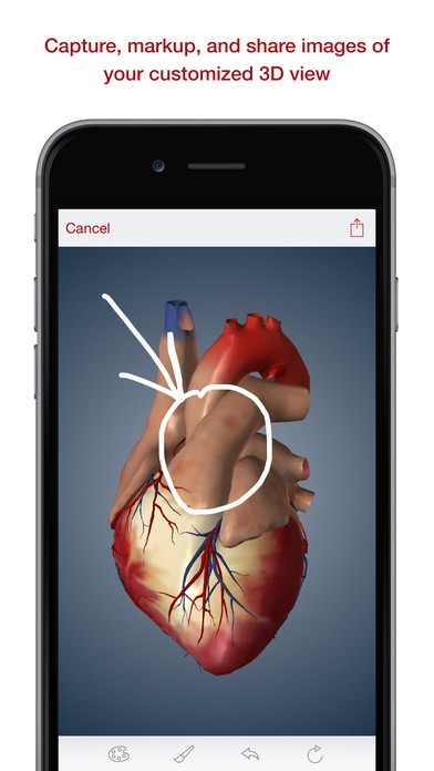 BioDigital Human: 3D Anatomy Explorer | iPhone・Android対応のスマホアプリ探すなら.Apps
