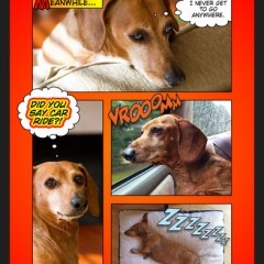 「Halftone 2 - コミックブッククリエイター」あなたも漫画の主人公になれる！のアイコン