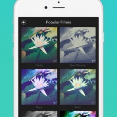 「Filtron」おしゃれな大人女子のための写真加工アプリのアイコン
