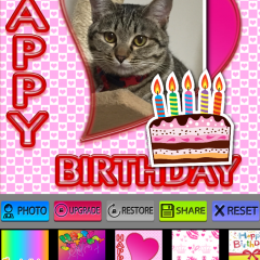 「誕生日フォトフレームや壁紙」で誕生日写真をかわいく飾ろう！のアイコン