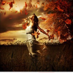 「FilterMania 2」個性的なフィルターが魅力！格好いい写真が簡単に作れる写真加工アプリのアイコン