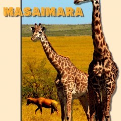 「PopAGraph」～ポスター風にアレンジできる写真加工アプリのアイコン