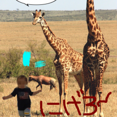 「フォトアレンジメント 無料版」～これひとつで写真の加工はおまかせ！「オールインワン」な写真加工アプリのアイコン