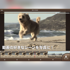 動画から写真を切り出す「Movie To lmage」アプリのアイコン
