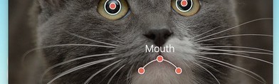 「おしゃべりペット」は、ペットがおしゃべりしてくれるビデオを作成できるアプリ