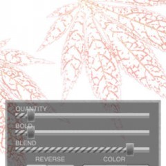 「線画風カメラ＋」何気ない1枚が、簡単ワンタッチでおしゃれな線画に変身するアプリのアイコン