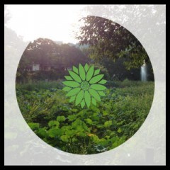 「ShapePic」で写真をクッキーの型抜きのようにくり抜いてみよう！のアイコン