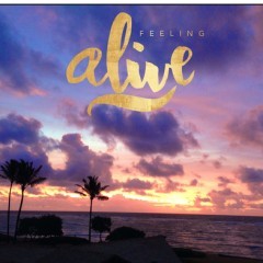 「Rhonna Designs」で写真をオシャレに加工してみませんか？のアイコン