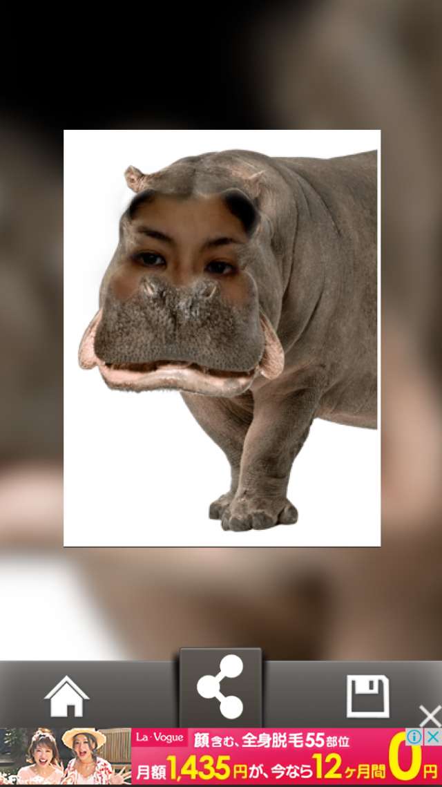 楽しいアニマル フォト 動物と合成しておもしろい写真が撮れます Iphone Android対応のスマホアプリ探すなら Apps